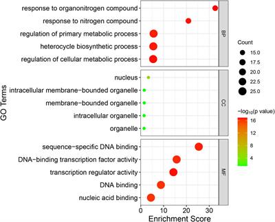 Genome-wide identification and bioinformatics analysis of the WRKY transcription factors and screening of candidate genes for anthocyanin biosynthesis in azalea (Rhododendron simsii)